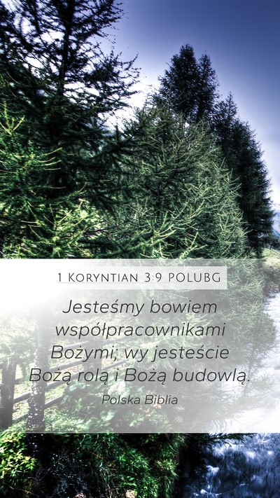 1 Koryntian 3:9 POLUBG Bible Verse Image