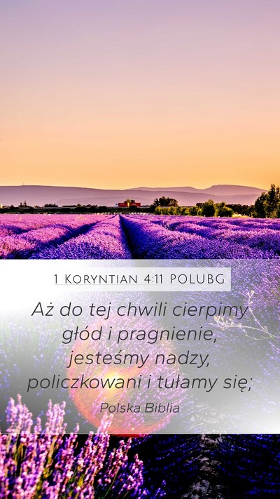1 Koryntian 4:11 POLUBG Bible Verse Image