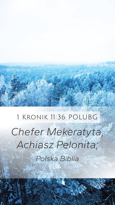1 Kronik 11:36 POLUBG Mobile Phone Wallpaper - Chefer Mekeratyta, Achiasz - Mobile Bible Verse Wallpaper