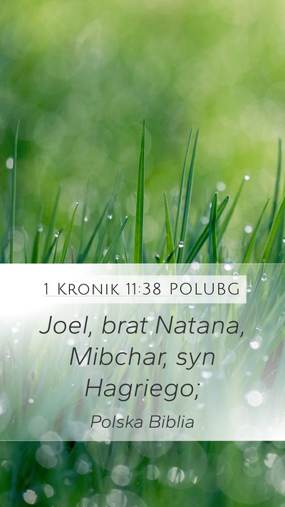 1 Kronik 11:38 POLUBG Bible Verse Image