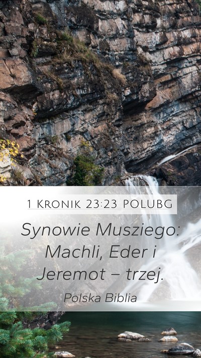 1 Kronik 23:23 POLUBG Bible Verse Image