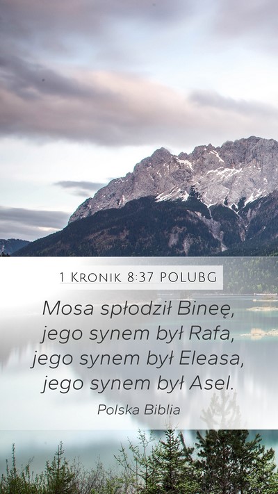 1 Kronik 8:37 POLUBG Bible Verse Image