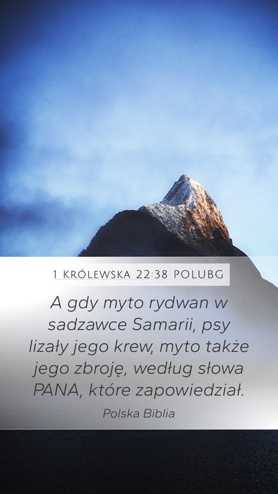 1 Królewska 22:38 POLUBG Bible Verse Image