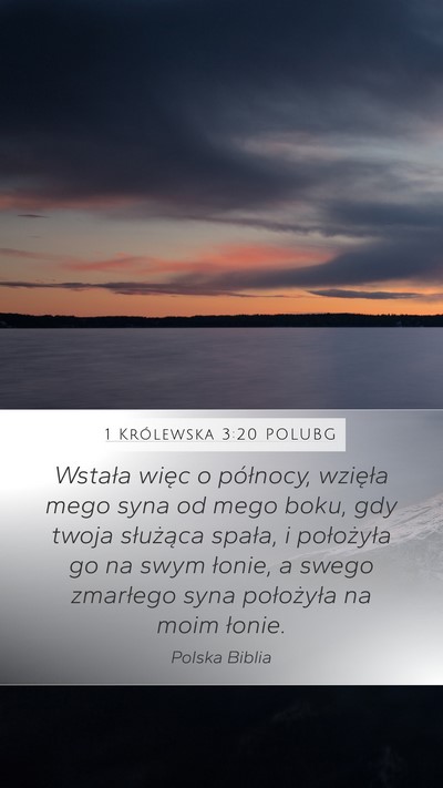 1 Królewska 3:20 POLUBG Mobile Phone Wallpaper - Wstała więc o północy, wzięła mego syna od - Mobile Bible Verse Wallpaper