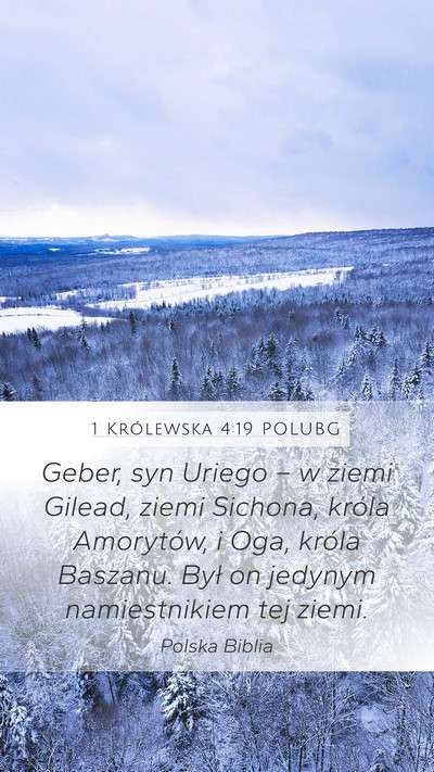 1 Królewska 4:19 POLUBG Bible Verse Image