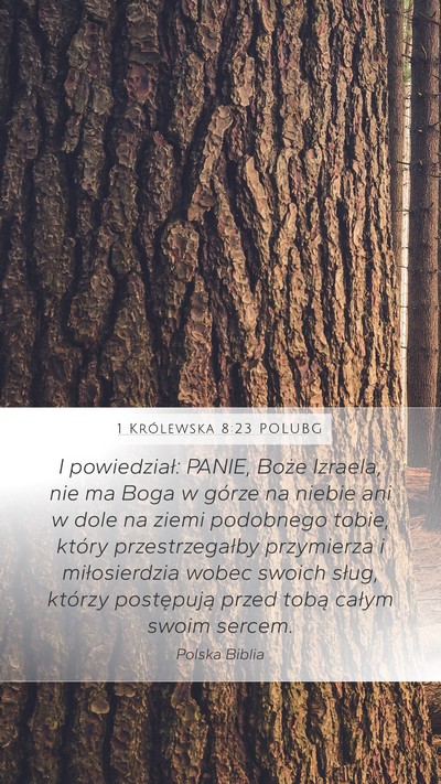 1 Królewska 8:23 POLUBG Bible Verse Image