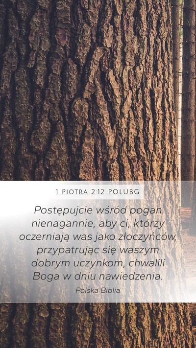 1 Piotra 2:12 POLUBG Bible Verse Image