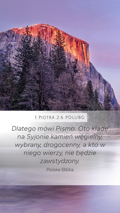 1 Piotra 2:6 POLUBG Bible Verse Image