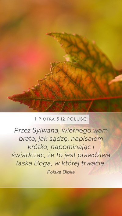 1 Piotra 5:12 POLUBG Bible Verse Image