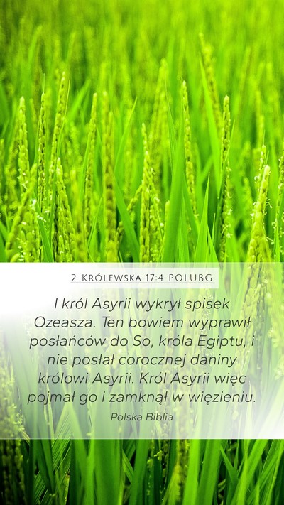 2 Królewska 17:4 POLUBG Bible Verse Image