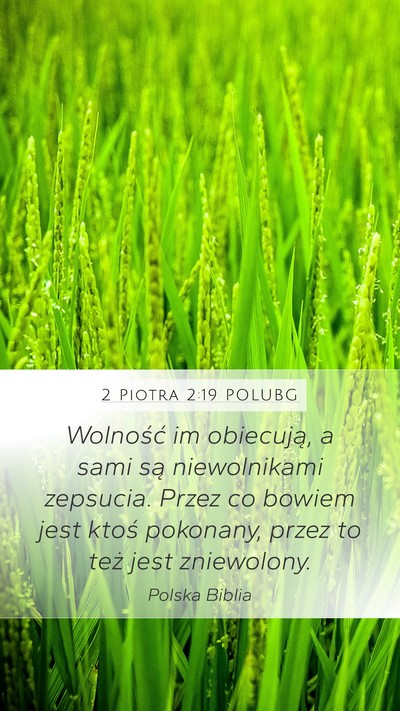 2 Piotra 2:19 POLUBG Bible Verse Image