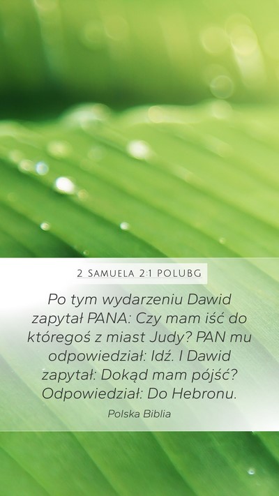 2 Samuela 2:1 POLUBG Mobile Phone Wallpaper - Po tym wydarzeniu Dawid zapytał PANA: Czy mam - Mobile Bible Verse Wallpaper