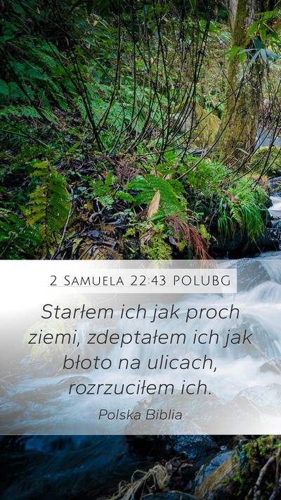 2 Samuela 22:43 POLUBG Bible Verse Image