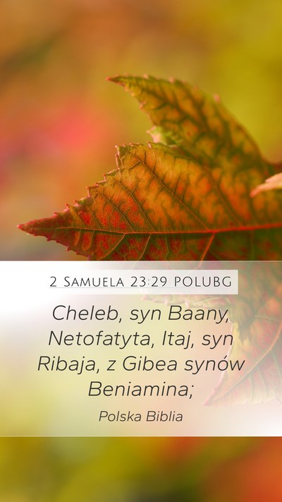 2 Samuela 23:29 POLUBG Mobile Phone Wallpaper - Cheleb, syn Baany, Netofatyta, Itaj, syn Ribaja, - Mobile Bible Verse Wallpaper