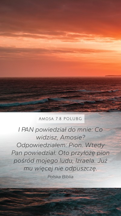 Amosa 7:8 POLUBG Bible Verse Image