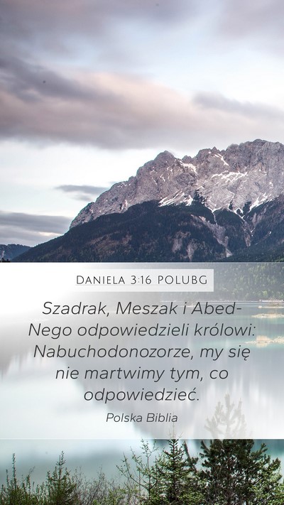 Daniela 3:16 POLUBG Bible Verse Image