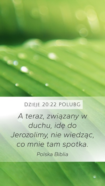 Dzieje 20:22 POLUBG Bible Verse Image