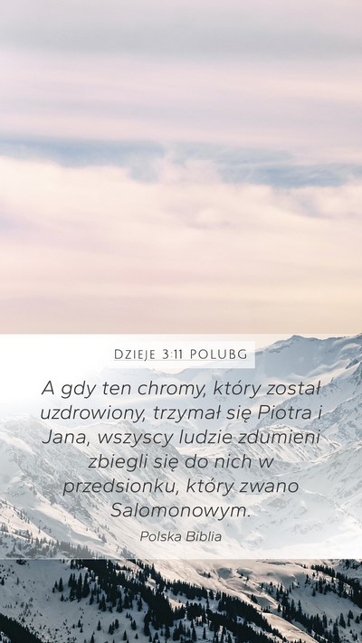 Dzieje 3:11 POLUBG Bible Verse Image