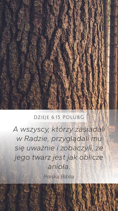 Dzieje 6:15 POLUBG Bible Verse Image