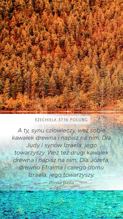 Ezechiela 37:16 POLUBG Bible Verse Image