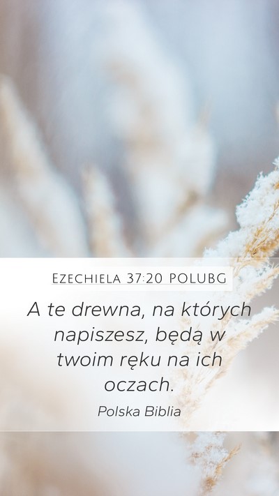 Ezechiela 37:20 POLUBG Bible Verse Image