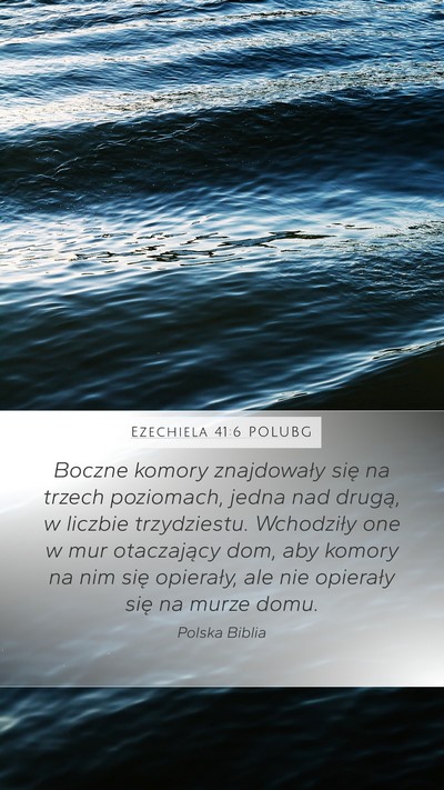 Ezechiela 41:6 POLUBG Bible Verse Image