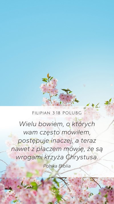 Filipian 3:18 POLUBG Bible Verse Image