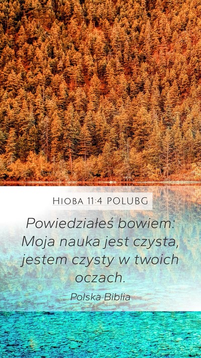 Hioba 11:4 POLUBG Bible Verse Image