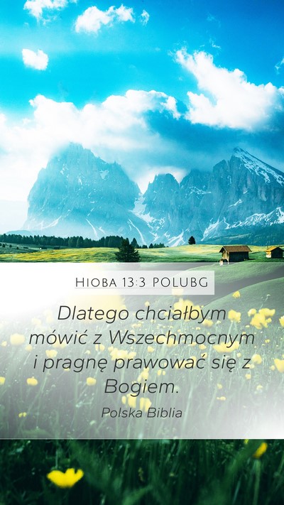 Hioba 13:3 POLUBG Bible Verse Image
