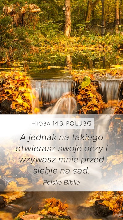 Hioba 14:3 POLUBG Bible Verse Image