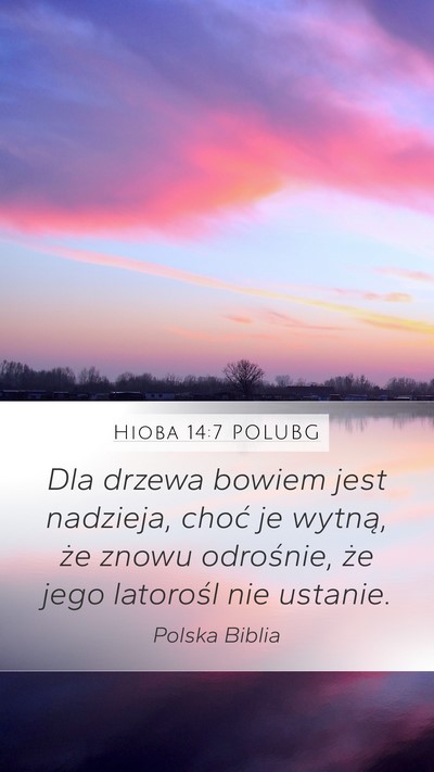 Hioba 14:7 POLUBG Bible Verse Image