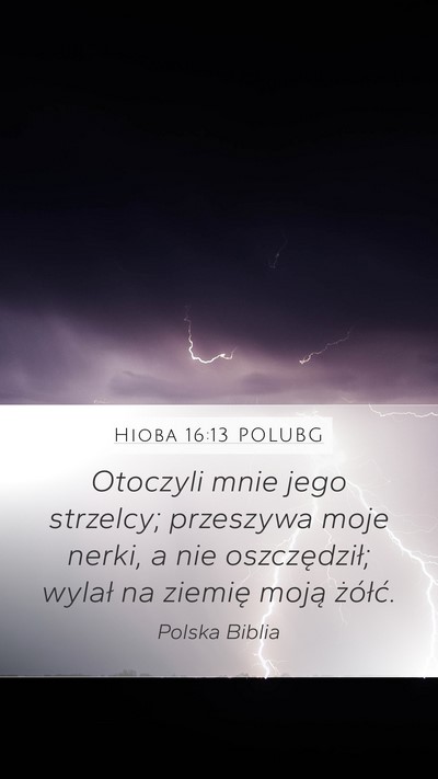 Hioba 16:13 POLUBG Bible Verse Image