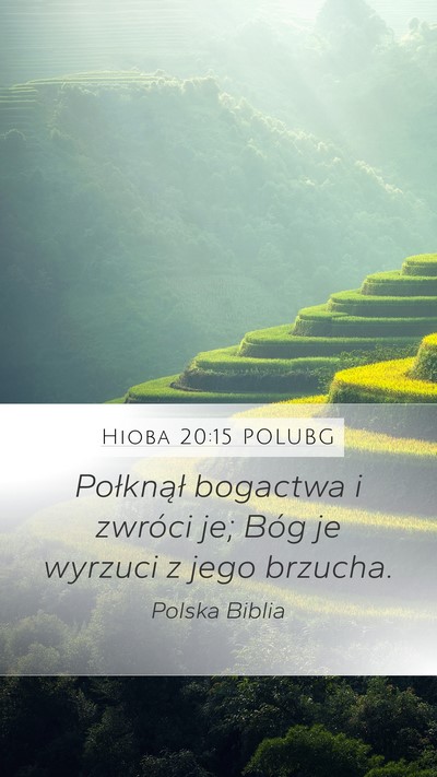 Hioba 20:15 POLUBG Bible Verse Image
