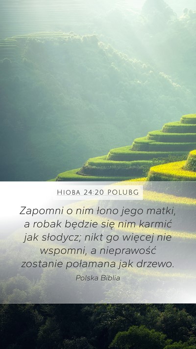 Hioba 24:20 POLUBG Bible Verse Image