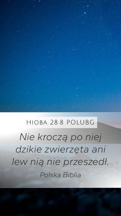 Hioba 28:8 POLUBG Mobile Phone Wallpaper - Nie kroczą po niej dzikie zwierzęta ani lew - Mobile Bible Verse Wallpaper