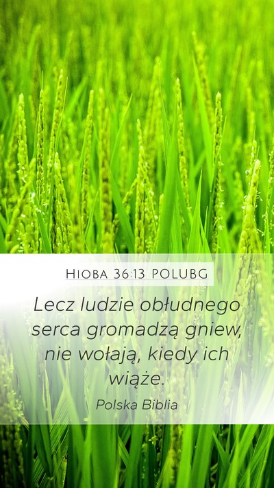Hioba 36:13 POLUBG Bible Verse Image