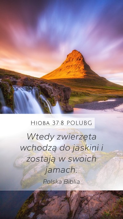 Hioba 37:8 POLUBG Bible Verse Image