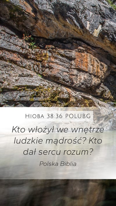 Hioba 38:36 POLUBG Bible Verse Image
