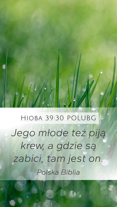 Hioba 39:30 POLUBG Bible Verse Image