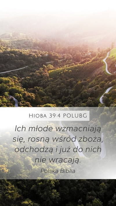 Hioba 39:4 POLUBG Bible Verse Image