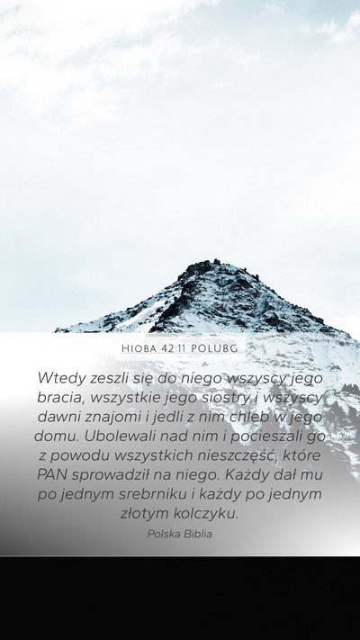 Hioba 42:11 POLUBG Bible Verse Image