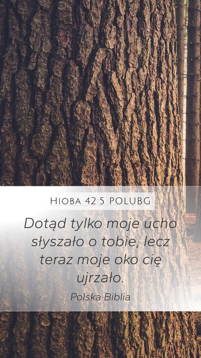 Hioba 42:5 POLUBG Bible Verse Image