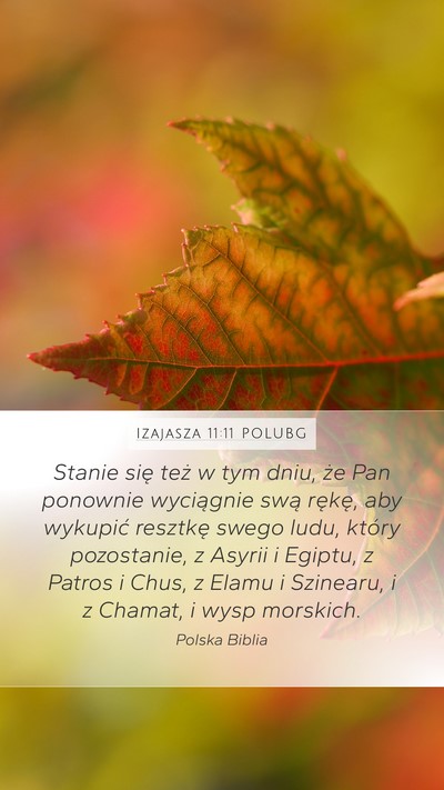 Izajasza 11:11 POLUBG Bible Verse Image