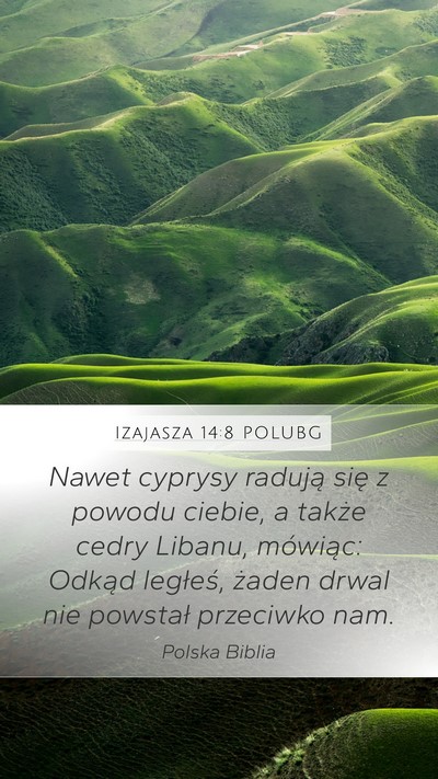 Izajasza 14:8 POLUBG Bible Verse Image