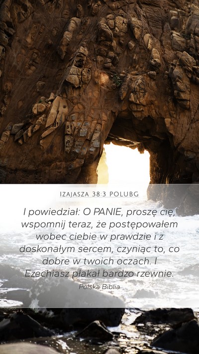 Izajasza 38:3 POLUBG Bible Verse Image