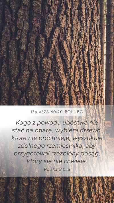 Izajasza 40:20 POLUBG Bible Verse Image