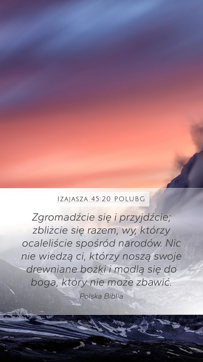 Izajasza 45:20 POLUBG Bible Verse Image