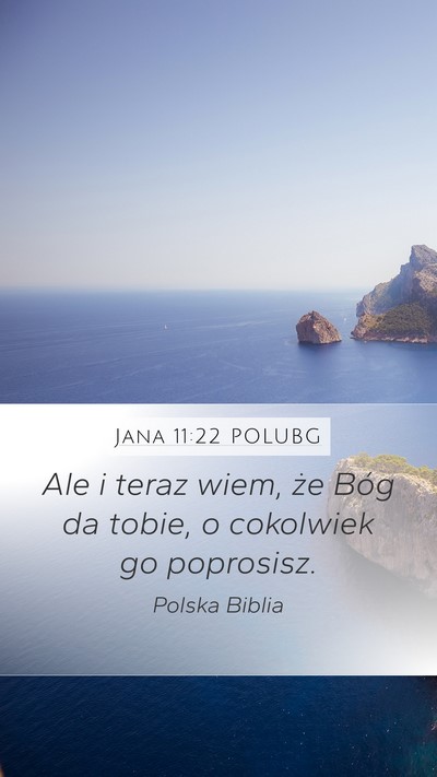 Jana 11:22 POLUBG Bible Verse Image