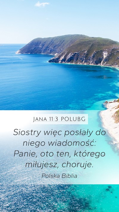 Jana 11:3 POLUBG Bible Verse Image