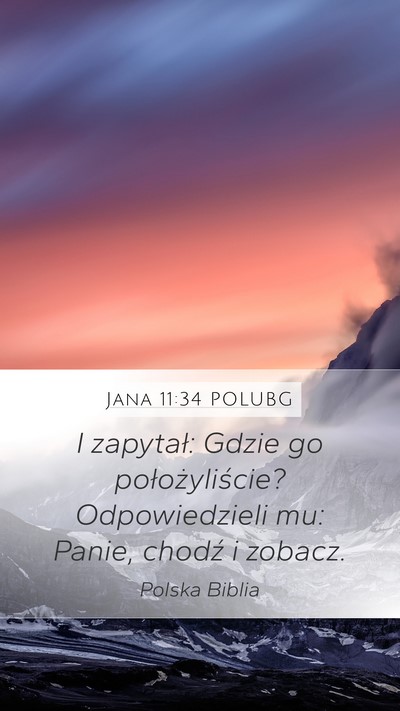 Jana 11:34 POLUBG Mobile Phone Wallpaper - I zapytał: Gdzie go położyliście? - Mobile Bible Verse Wallpaper
